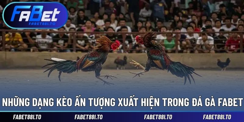 Đa dạng cửa cược ấn tượng trong sảnh đá gà 