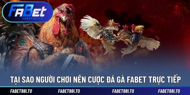 Lý do mà người chơi nên cược đá gà trực tiếp